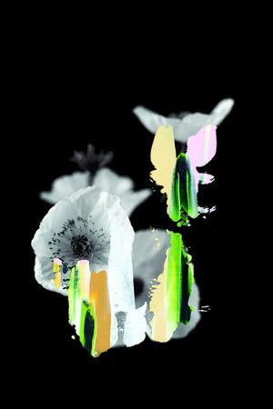 前花印花华亿平台图片