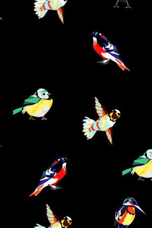 飞鸟印花华亿平台图片