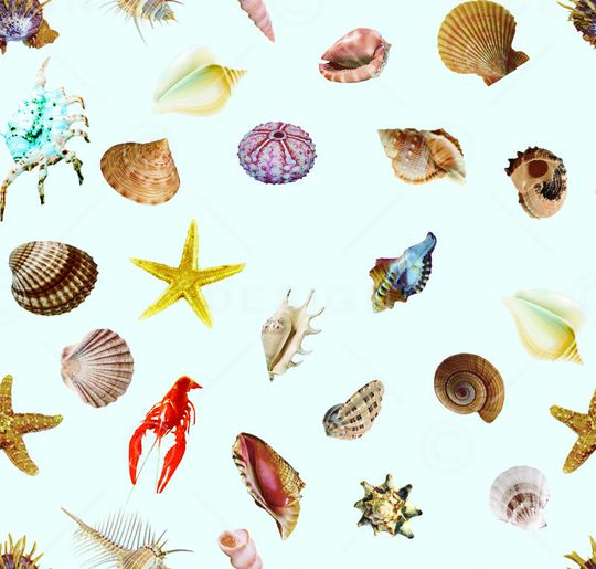 贝壳印花华亿平台图片