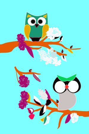 猫头鹰印花华亿平台图片