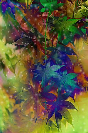 时尚 流行 新潮印花华亿平台图片