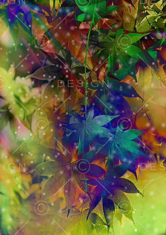 时尚 流行 新潮印花华亿平台图片