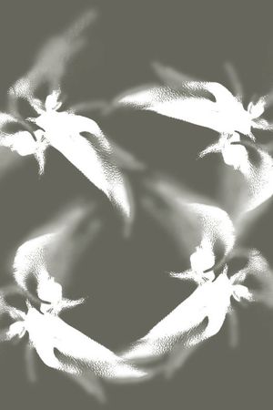 白印花华亿平台图片