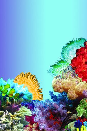 海底植物印花华亿平台图片