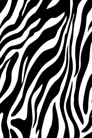斑马纹 动物纹印花华亿平台图片
