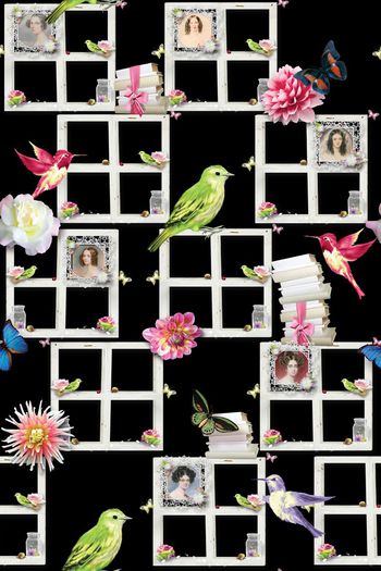 412184-清新 都市 雅致