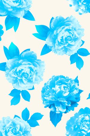 短裤蓝花印花华亿平台图片