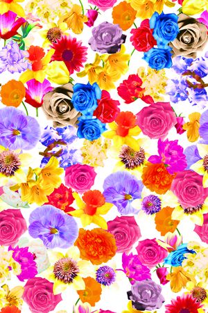 花花花印花华亿平台图片