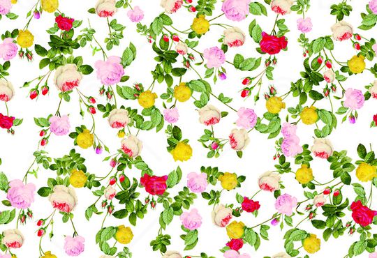 玫瑰循环(衫衣）印花华亿平台图片