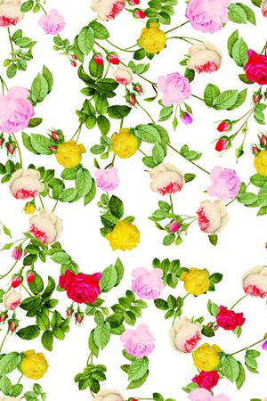 玫瑰循环(衫衣）印花华亿平台图片