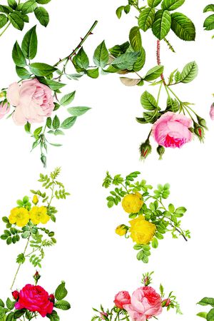 无袖玫瑰连衣裙印花华亿平台图片