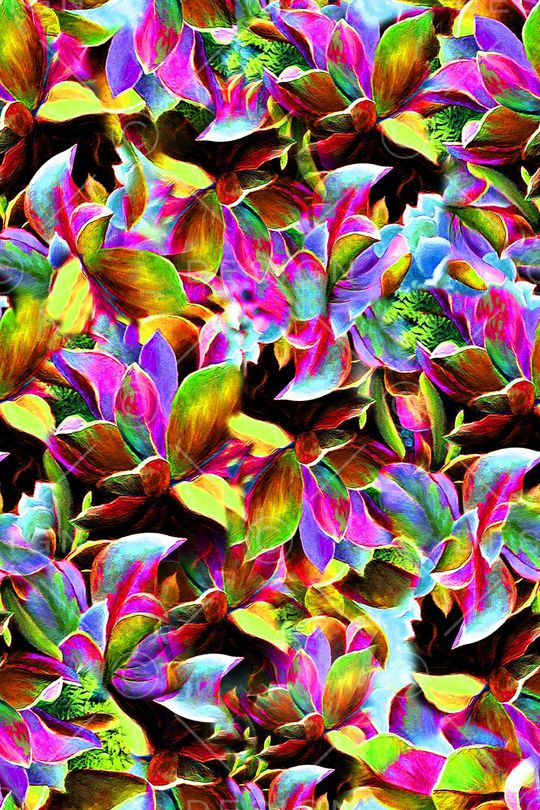 花印花华亿平台图片