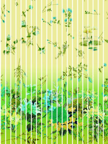 412265-國之牡丹-中国风