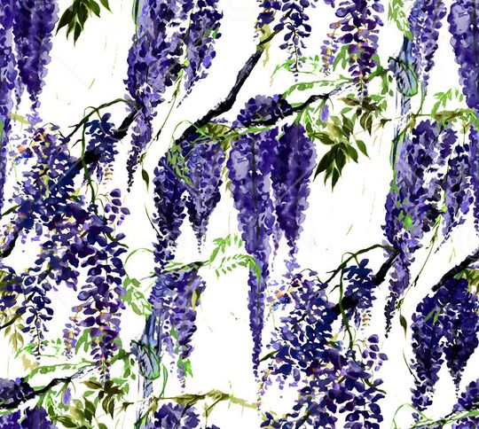 D&G 2015印花华亿平台图片