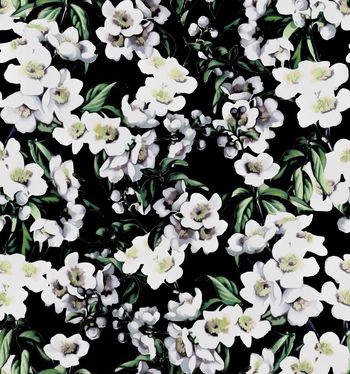 412291-D&G 2015 度假系列