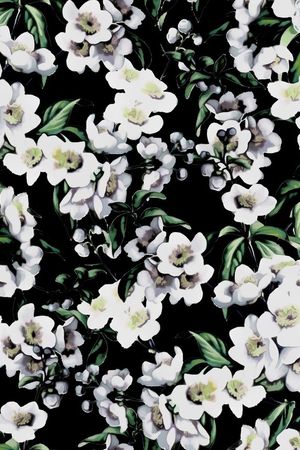 D&G 2015印花华亿平台图片