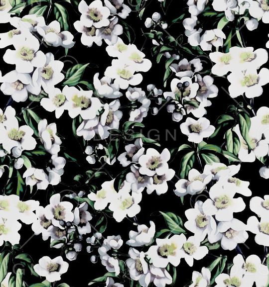 D&G 2015印花华亿平台图片