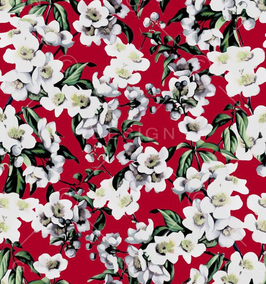 D&G 2015印花华亿平台图片