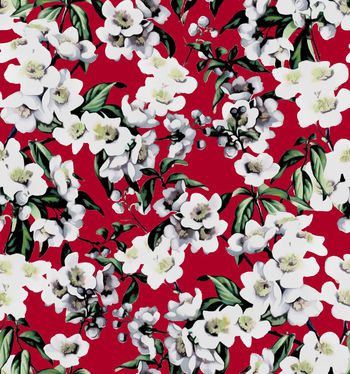 412292-D&G 2015 度假系列