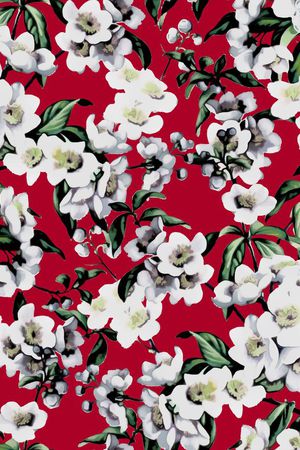 D&G 2015印花华亿平台图片