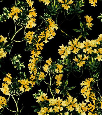 412303-D&G 2015 度假系列