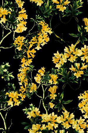 D&G 2015印花华亿平台图片