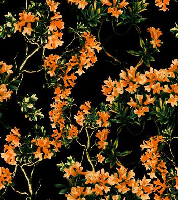 412304-D&G 2015 度假系列