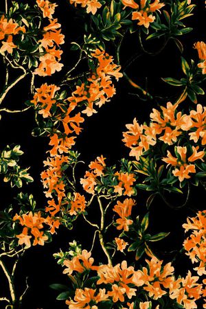 D&G 2015印花华亿平台图片