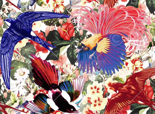 鸟印花华亿平台图片