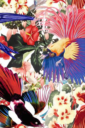 鸟印花华亿平台图片