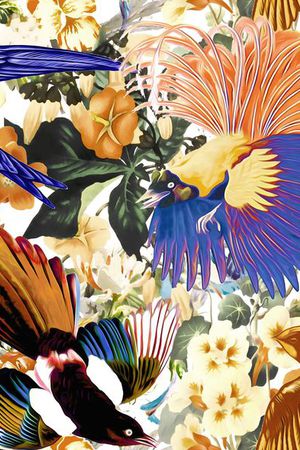 鸟印花华亿平台图片