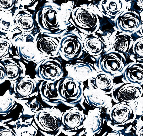 玫瑰印花华亿平台图片