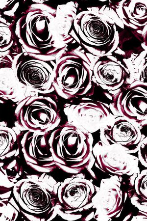 玫瑰印花华亿平台图片