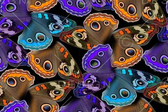 绚丽 时尚印花华亿平台图片