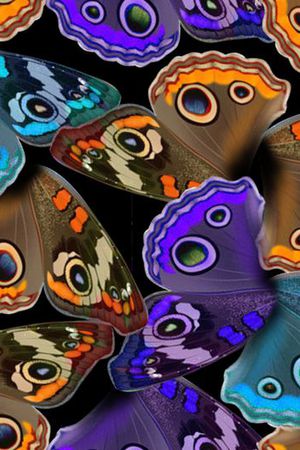 绚丽 时尚印花华亿平台图片