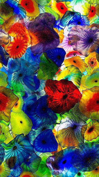 412386-琉璃光影晶莹剔透女装春夏内衣男内裤