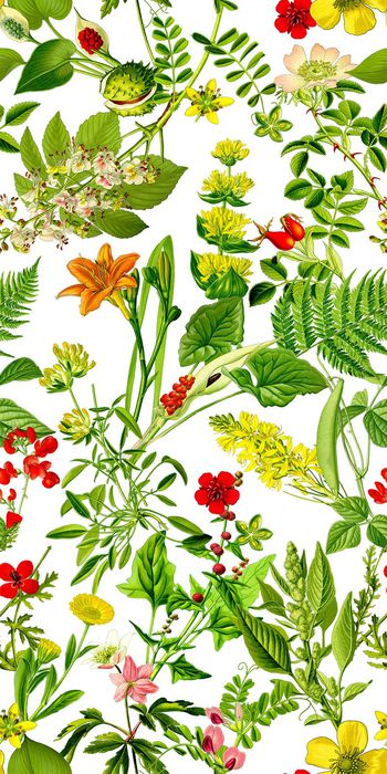 412723-热带风情春夏清新植物花卉组合女装衬