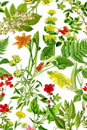 植物印花华亿平台图片