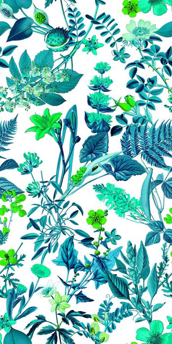 412724-热带风情春夏清新植物花卉组合女装衬