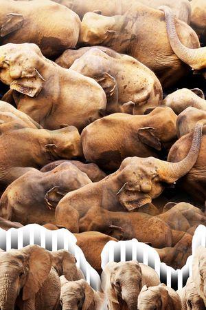 油画印花华亿平台图片