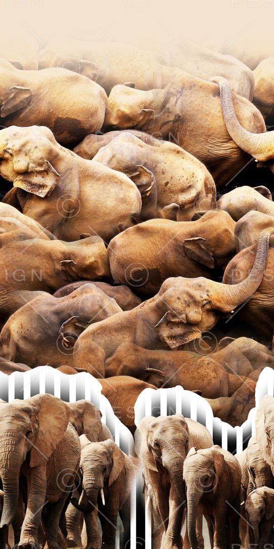 油画印花华亿平台图片