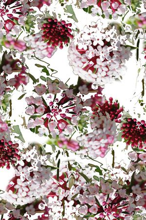 潮流印花华亿平台图片