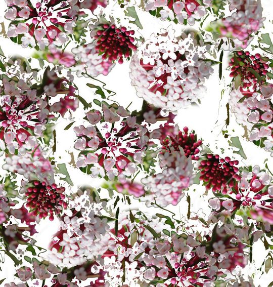 潮流印花华亿平台图片