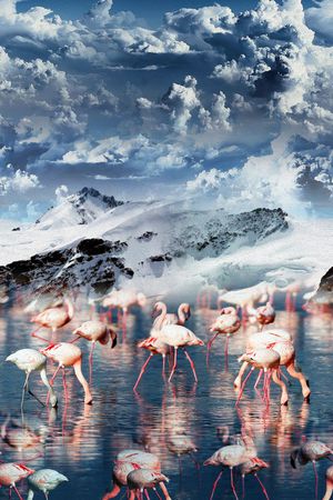 创意印花华亿平台图片