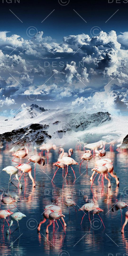 创意印花华亿平台图片