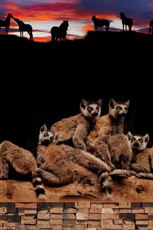 动物印花华亿平台图片