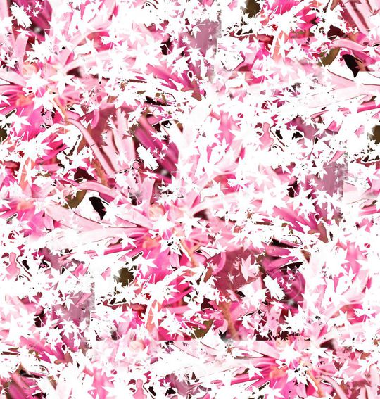 潮流印花华亿平台图片