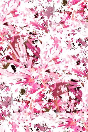 潮流印花华亿平台图片