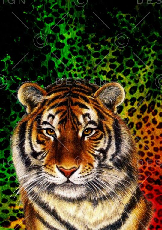 T恤衫 数码 画稿印花华亿平台图片