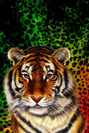 T恤衫 数码 画稿印花华亿平台图片